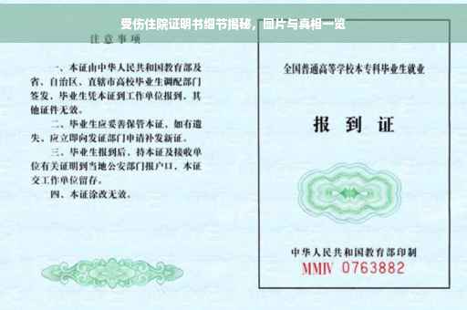 受伤住院证明书细节揭秘，图片与真相一览