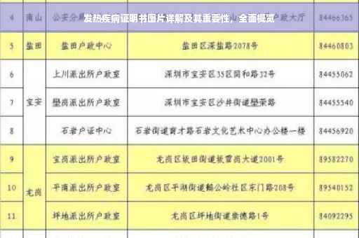 发热疾病证明书图片详解及其重要性，全面概览