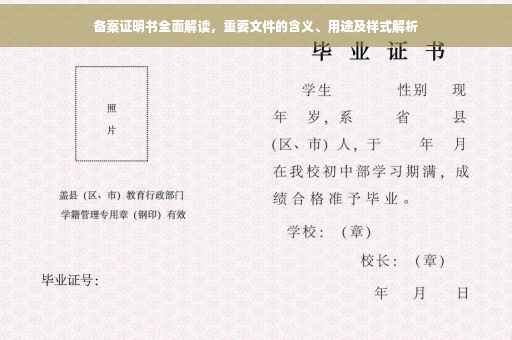 备案证明书全面解读，重要文件的含义、用途及样式解析