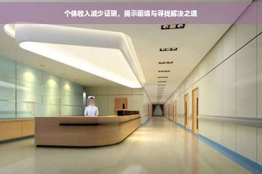 个体收入减少证明，揭示困境与寻找解决之道
