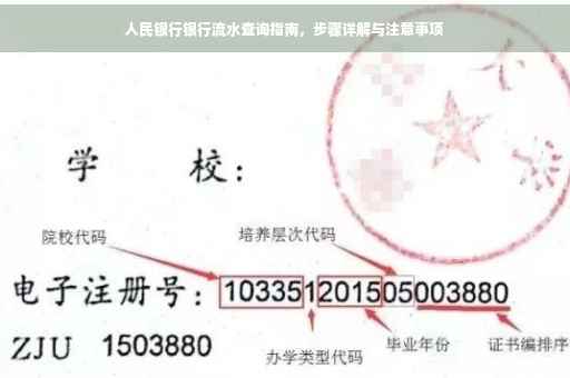 人民银行银行流水查询指南，步骤详解与注意事项