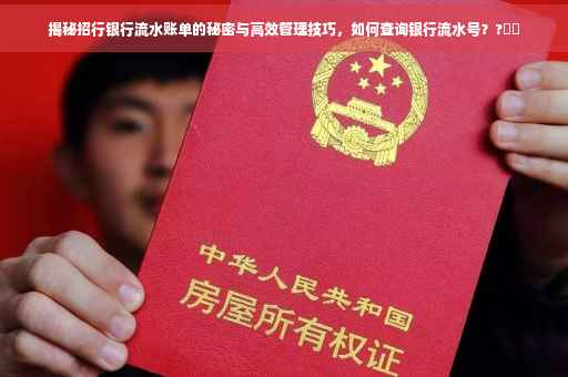 揭秘招行银行流水账单的秘密与高效管理技巧，如何查询银行流水号？?⚡️
