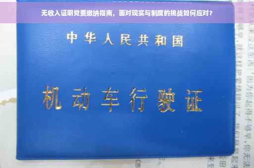 无收入证明党费缴纳指南，面对现实与制度的挑战如何应对？