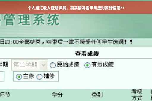 个人结汇收入证明详解，真实情况揭示与应对策略指南??