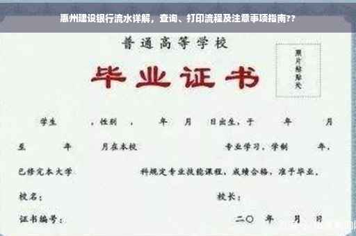 惠州建设银行流水详解，查询、打印流程及注意事项指南??