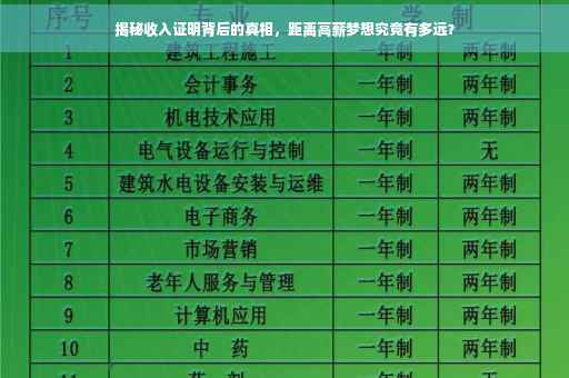 揭秘收入证明背后的真相，距离高薪梦想究竟有多远？