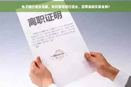 电子银行流水详解，如何查看银行流水，洞悉金融交易全貌？