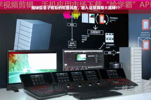 揭秘假章子背后的犯罪风险，收入证明真相大揭秘??