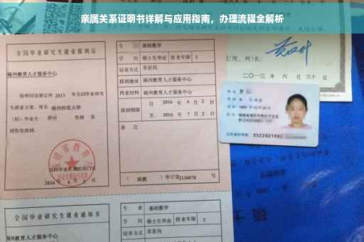 亲属关系证明书详解与应用指南，办理流程全解析