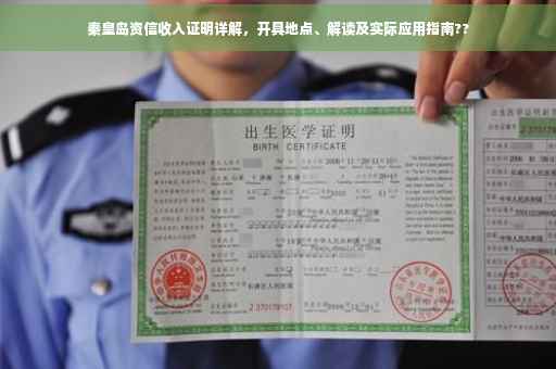 秦皇岛资信收入证明详解，开具地点、解读及实际应用指南??
