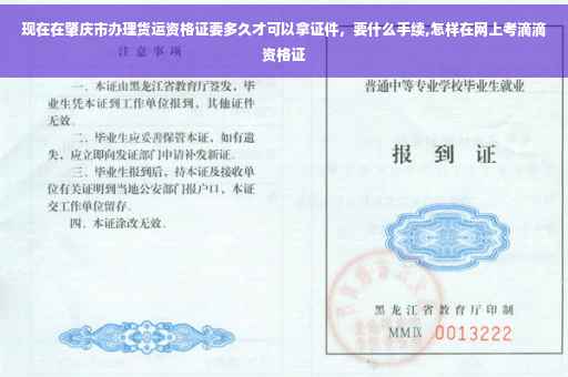 现在在肇庆市办理货运资格证要多久才可以拿证件，要什么手续,怎样在网上考滴滴资格证