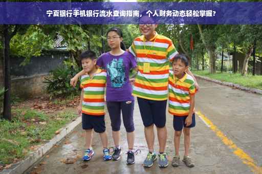 宁夏银行手机银行流水查询指南，个人财务动态轻松掌握?