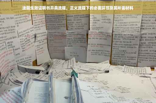 法院生效证明书开具流程，正义流程下的必要环节及其所需材料