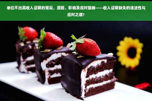 单位不出具收入证明的背后，原因、影响及应对策略——收入证明缺失的违法性与应对之道?