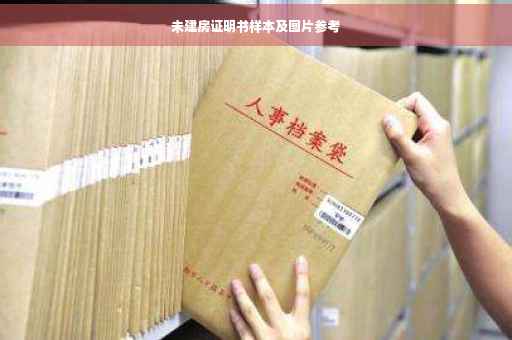 未建房证明书样本及图片参考