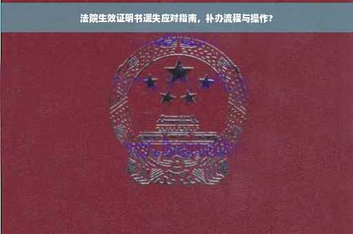 法院生效证明书遗失应对指南，补办流程与操作?