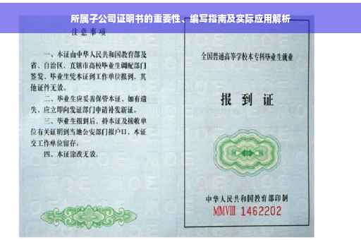 所属子公司证明书的重要性、编写指南及实际应用解析