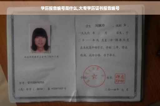 学历报告编号是什么,大专学历证书报告编号