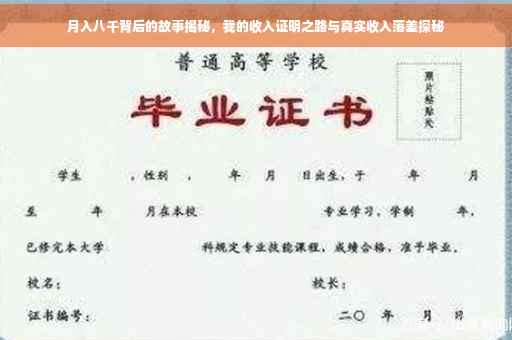 月入八千背后的故事揭秘，我的收入证明之路与真实收入落差探秘