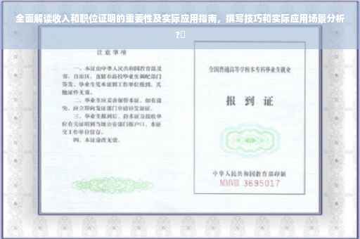 全面解读收入和职位证明的重要性及实际应用指南，撰写技巧和实际应用场景分析?✨