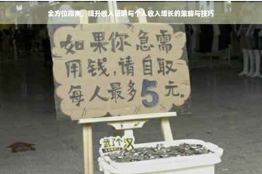 全方位指南，提升收入证明与个人收入增长的策略与技巧