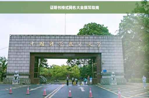 证明书格式网名大全撰写指南
