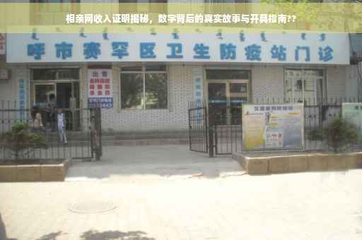 相亲网收入证明揭秘，数字背后的真实故事与开具指南??