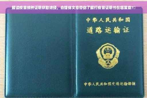 解读疫苗接种证明获取途径，自媒体文章带你了解打疫苗证明书在哪里查?✨