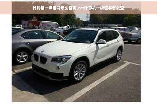 计算机一级证书怎么查询,cct计算机一级证书怎么查