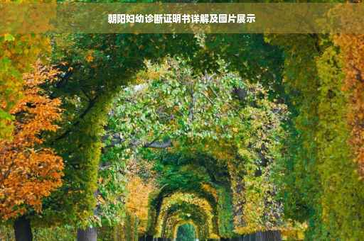 朝阳妇幼诊断证明书详解及图片展示