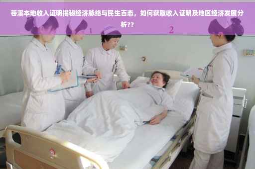 苍溪本地收入证明揭秘经济脉络与民生百态，如何获取收入证明及地区经济发展分析??