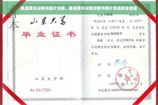 膝盖受伤证明书图片详解，膝盖骨折证明诊断书图片及信息全收录