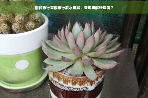 徽商银行直销银行流水详解，查询与解析指南 ?