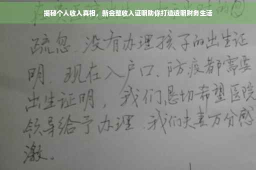 揭秘个人收入真相，新会整收入证明助你打造透明财务生活