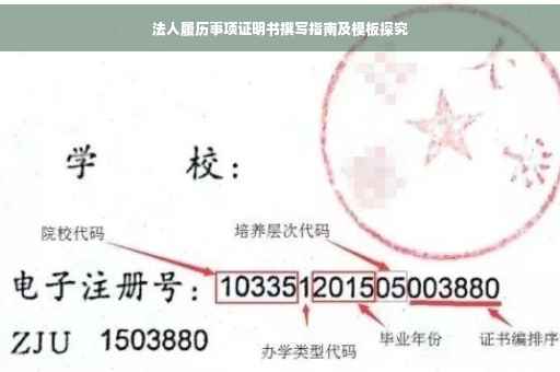 法人履历事项证明书撰写指南及模板探究