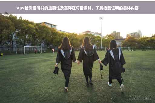 VJW检测证明书的重要性及其存在与否探讨，了解检测证明的具体内容
