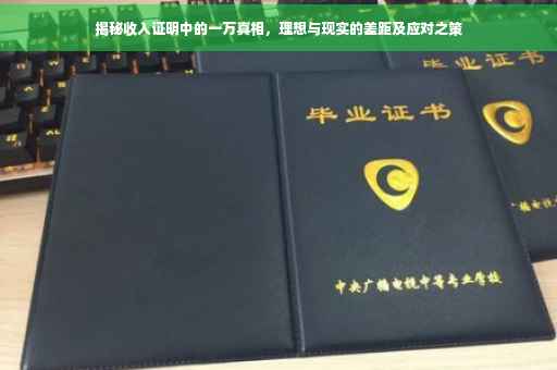 揭秘收入证明中的一万真相，理想与现实的差距及应对之策