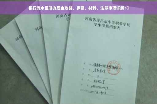 银行流水证明办理全攻略，步骤、材料、注意事项详解?✨