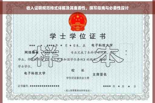 收入证明规范格式详解及其重要性，撰写指南与必要性探讨