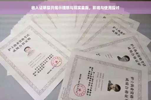 收入证明裂开揭示理想与现实差距，影响与使用探讨