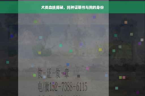 犬类血统揭秘，纯种证明书与狗的身份