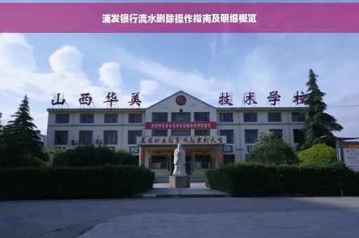 浦发银行流水删除操作指南及明细概览