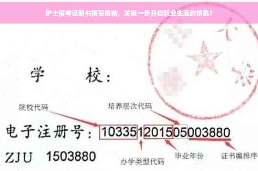 护士报考证明书撰写指南，关键一步开启职业生涯的钥匙?