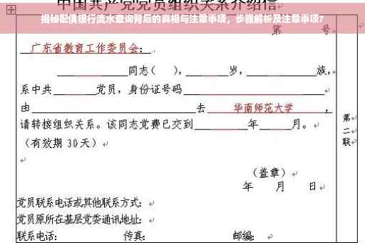 揭秘配偶银行流水查询背后的真相与注意事项，步骤解析及注意事项?