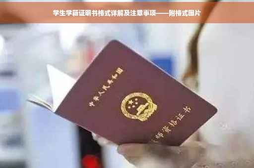 学生学籍证明书格式详解及注意事项——附格式图片