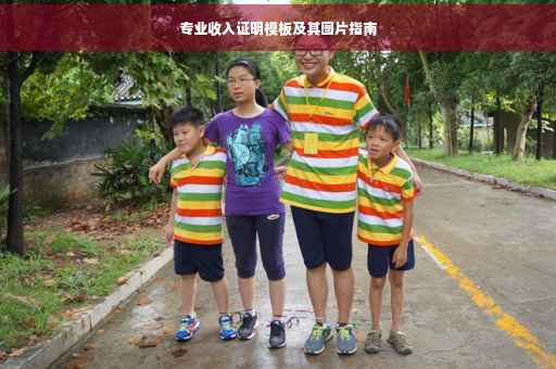 专业收入证明模板及其图片指南