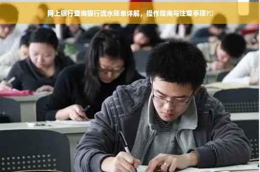 网上银行查询银行流水账单详解，操作指南与注意事项?✨