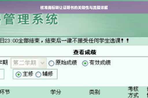 核准商标转让证明书的关键性与流程详解