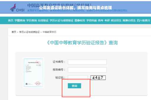 公司发票证明书详解，撰写指南与要点梳理
