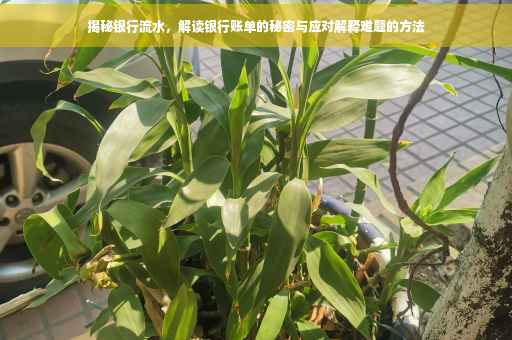 揭秘银行流水，解读银行账单的秘密与应对解释难题的方法